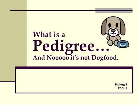 What is a Pedigree… And Nooooo it’s not Dogfood.