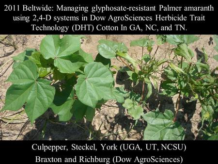 2011 Beltwide: Managing glyphosate-resistant Palmer amaranth using 2,4-D systems in Dow AgroSciences Herbicide Trait Technology (DHT) Cotton In GA, NC,