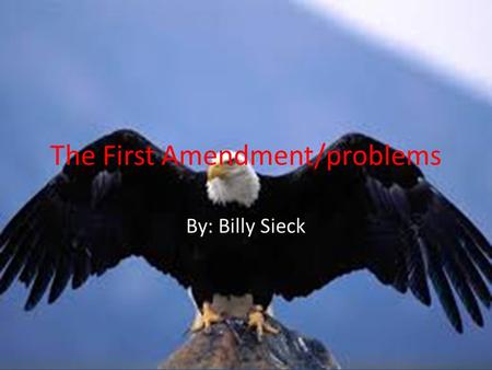 The First Amendment/problems