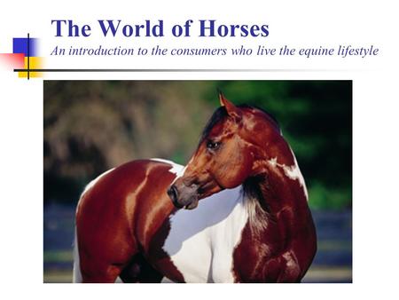 The World of Horses An introduction to the consumers who live the equine lifestyle.