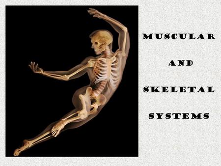 Muscular and Skeletal Systems.