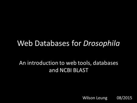 Web Databases for Drosophila An introduction to web tools, databases and NCBI BLAST Wilson Leung08/2015.