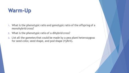 Warm-Up 1. What is the phenotypic ratio and genotypic ratio of the offspring of a monohybrid cross? 2. What is the phenotypic ratio of a dihybrid cross?