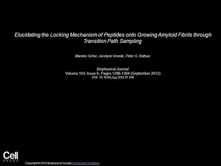 Elucidating the Locking Mechanism of Peptides onto Growing Amyloid Fibrils through Transition Path Sampling Marieke Schor, Jocelyne Vreede, Peter G. Bolhuis.
