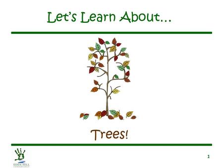 Let’s Learn About… Trees!