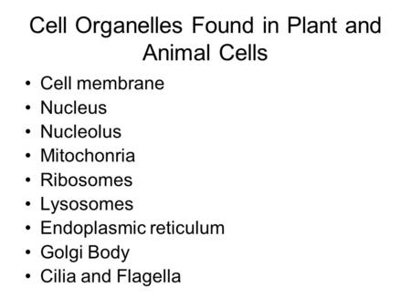 Cell Organelles Found in Plant and Animal Cells Cell membrane Nucleus Nucleolus Mitochonria Ribosomes Lysosomes Endoplasmic reticulum Golgi Body Cilia.