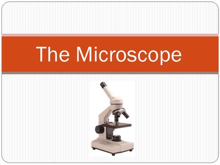 The Microscope. Microscope History 14 th Century The art of grinding lenses is developed in Italy and spectacles are made to improve eyesight.