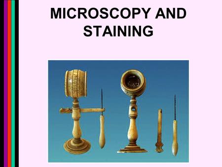 MICROSCOPY AND STAINING. Leeuwenhoek’s Investigation 2.