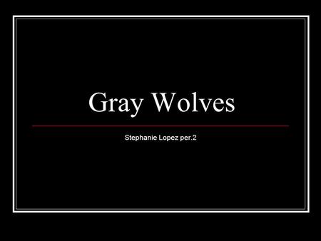 Gray Wolves Stephanie Lopez per.2. Basic info on wolves Wolves travel in packs They use strategy to kill their prey. They use their howls to communicate.
