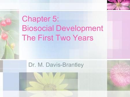 Chapter 5: Biosocial Development The First Two Years Dr. M. Davis-Brantley.