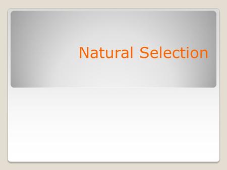 Natural Selection. Natural Selection: A process by which characteristics that make an individual better suited to it's environment become more common.