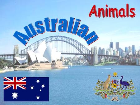 Animals Australian.