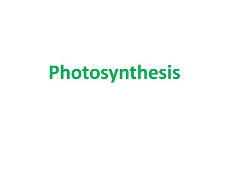 Photosynthesis. Where do we get our energy from? How do we release energy from food? Food +Carbon dioxide +Oxygen+ ENERGYWater Respiration (Glucose)