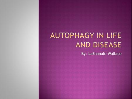 By: LaShanale Wallace.  Introduction: What is Autophagy?  Objective  Specific examples  Conclusion.