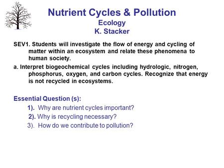 Nutrient Cycles & Pollution Ecology K. Stacker