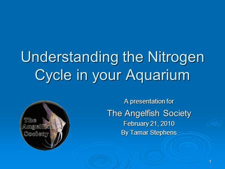 1 Understanding the Nitrogen Cycle in your Aquarium A presentation for The Angelfish Society February 21, 2010 By Tamar Stephens.