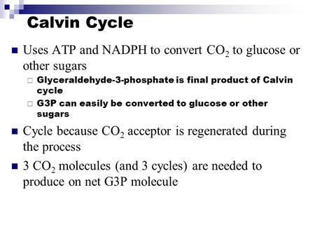 Calvin Cycle Uses ATP and NADPH to convert CO 2 to glucose or other sugars  Glyceraldehyde-3-phosphate is final product of Calvin cycle  G3P can easily.