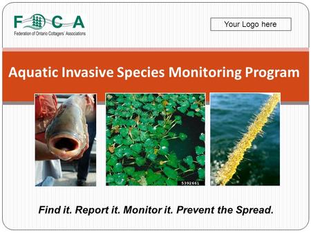 Aquatic Invasive Species Monitoring Program Find it. Report it. Monitor it. Prevent the Spread. Your Logo here.