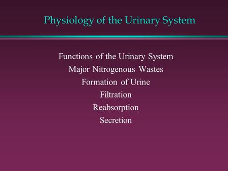 Physiology of the Urinary System