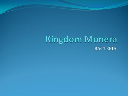 Kingdom Monera BACTERIA.