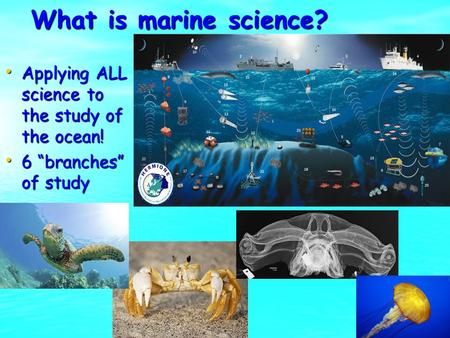What is marine science? Applying ALL science to the study of the ocean! Applying ALL science to the study of the ocean! 6 “branches” of study 6 “branches”