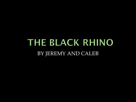 BY JEREMY AND CALEB  The black rhinoceros is actually grey  The black rhino has two horns made of keratin  The black rhino has a pointed upper lip.