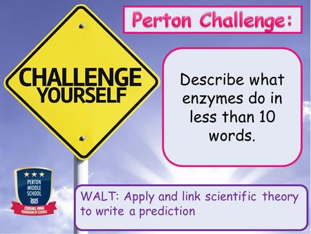 Describe what enzymes do in less than 10 words. WALT: Apply and link scientific theory to write a prediction.
