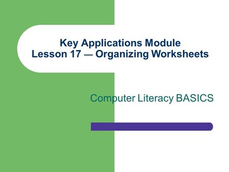 Key Applications Module Lesson 17 — Organizing Worksheets Computer Literacy BASICS.