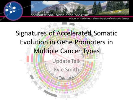 Signatures of Accelerated Somatic Evolution in Gene Promoters in Multiple Cancer Types Update Talk Kyle Smith De Lab.