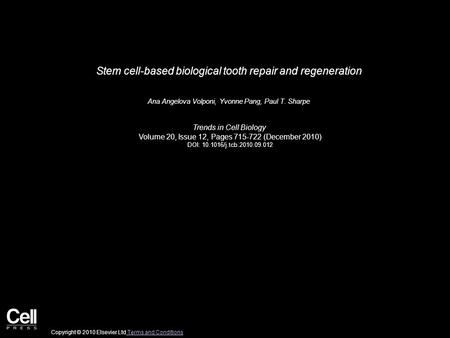 Stem cell-based biological tooth repair and regeneration