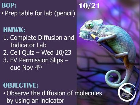 HMWK: 1.Complete Diffusion and Indicator Lab 2.Cell Quiz – Wed 10/23 3.FV Permission Slips – due Nov 4 th 10/21 BOP: Prep table for lab (pencil) OBJECTIVE: