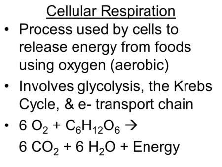Cellular Respiration Process used by cells to release energy from foods using oxygen (aerobic) Involves glycolysis, the Krebs Cycle, & e- transport chain.
