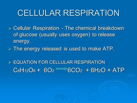 CELLULAR RESPIRATION  Cellular Respiration - The chemical breakdown of glucose (usually uses oxygen) to release energy.  The energy released is used.