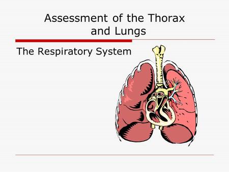 Assessment of the Thorax and Lungs