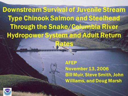 Downstream Survival of Juvenile Stream Type Chinook Salmon and Steelhead Through the Snake/Columbia River Hydropower System and Adult Return Rates AFEP.