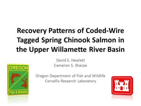 Recovery Patterns of Coded-Wire Tagged Spring Chinook Salmon in the Upper Willamette River Basin David S. Hewlett Cameron S. Sharpe Oregon Department of.