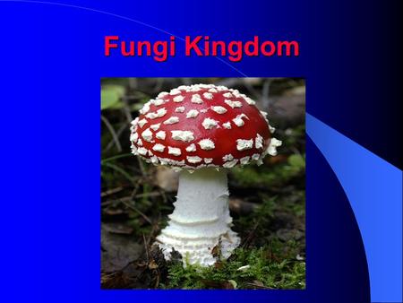 Fungi Kingdom. Mycology -the study of fungi fungi - plural fungus – singular 1) eukaryotic Cells have a nucleus 2) heterotrophic they do not make their.