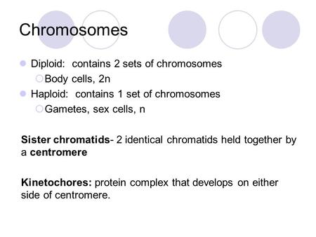 Chromosomes Diploid: contains 2 sets of chromosomes  Body cells, 2n Haploid: contains 1 set of chromosomes  Gametes, sex cells, n Sister chromatids-