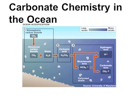 Carbonate Chemistry in the Ocean