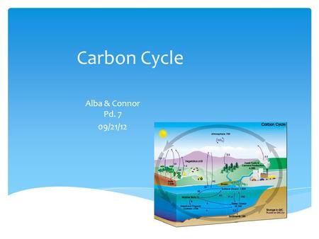 Carbon Cycle Alba & Connor Pd. 7 09/21/12.  Photosynthesis stores energy in complex organic molecules, while respiration releases it. Photosynthesis.