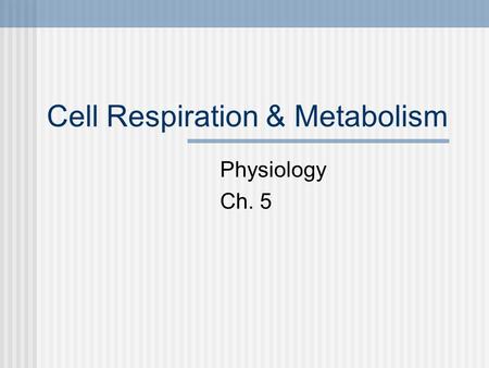 Cell Respiration & Metabolism Physiology Ch. 5. Carbohydrate Metabolism Most dietary carbohydrate is burned as fuel within a few hours of absorption Three.