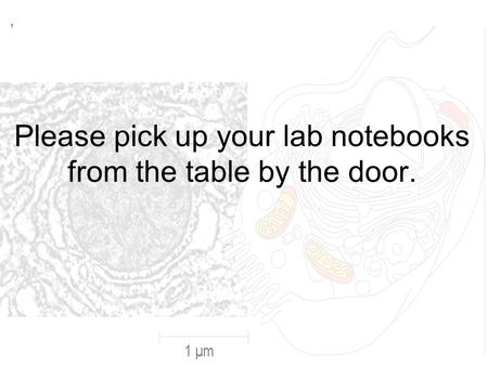 Please pick up your lab notebooks from the table by the door.