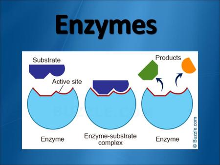 Enzymes. Chemical Reactions Process that changes one set of chemicals into another set Slow = iron & oxygen = Fast = fireworks RUST.