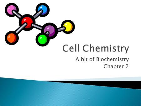 A bit of Biochemistry Chapter 2.  List the major chemical elements in cells.  Identify the function of the four major molecules or compounds in cells.
