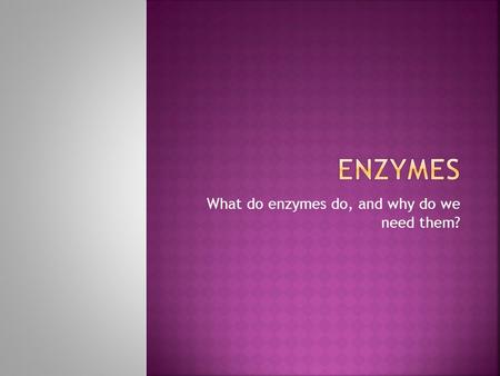 What do enzymes do, and why do we need them?