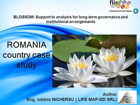 ROMANIA country case study BLOSSOM: Support to analysis for long-term governance and institutional arrangements Author Eng. Iuliana NICHERSU ( LIFE MAP-DD.