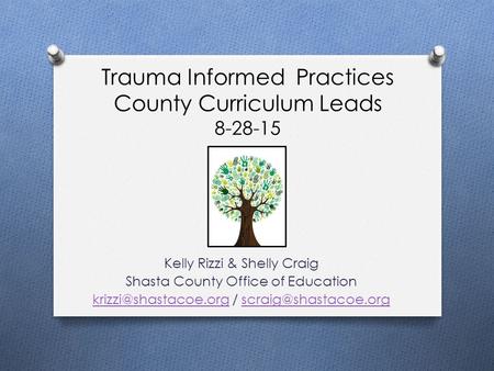 Trauma Informed Practices County Curriculum Leads