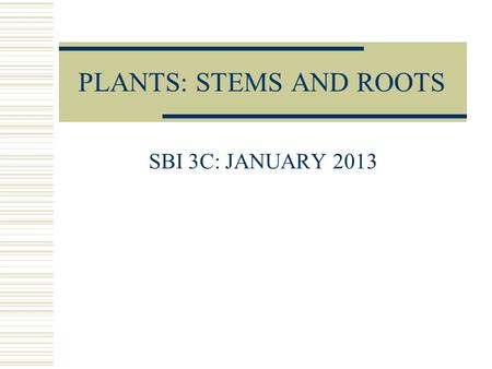 PLANTS: STEMS AND ROOTS