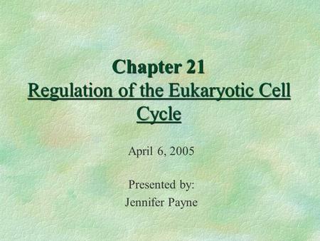 Chapter 21 Regulation of the Eukaryotic Cell Cycle April 6, 2005 Presented by: Jennifer Payne.