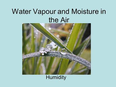 Water Vapour and Moisture in the Air Humidity. We know there is water in the air! Clouds Dew on grass in the mornings Fog Humidity.